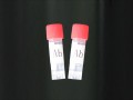 白术内酯Ⅱ