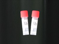 豆腐果新苷A