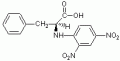 N-(2,4-二硝基苯基)-L-苯基丙胺酸