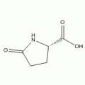 L-焦谷氨酸