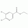 5,6-二氯烟酸乙酯