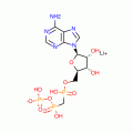 A,B-METHYLENEADENOSINE 5'-TRIPHOSPHATE*L ITHIUM