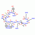 ADRENOCORTICOTROPIC HORMONE FRAGMENT 1- 16