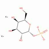 A-D-GALACTOSE 1-PHOSPHATE TYPE II*DIPOTA SSIUM