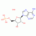 Adenosine-5'-monophosphoric acid monohydrate >96%