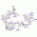 ADRENOCORTICOTROPIC HORMONE FRAGMENT1-17  HUMAN