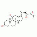 ALISOLB(SH)