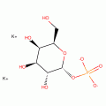 A-D-GALACTOSE 1-PHOSPHATE TYPE II*DIPOTA SSIUM