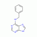 6-BENZYLAMINOPURINE-8-14C