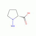 N-Amino-D-proline