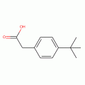 4-tert-Butylphenylacetic acid