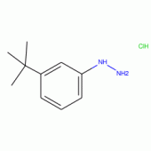 1-[3-(tert-Butyl)phenyl]hydrazine hydrochloride , Tech
