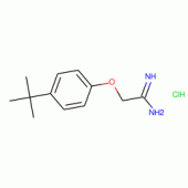 2-[4-(tert-Butyl)phenoxy]ethanimidamide hydrochloride , 97%