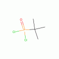 TERT-BUTYLPHOSPHONIC DICHLORIDE, 98%