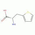 B-(2-THIENYL)-L-ALANINE