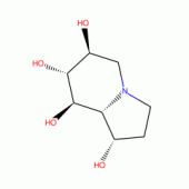 CASTANOSPERMINE(RG)