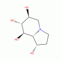 CASTANOSPERMINE(RG)