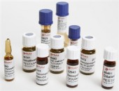 红霉素C