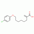 8-(4-Chlorophenoxy)-2-methylen-octanoic Acid