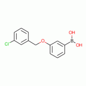 3-(3'-Chlorobenzyloxy)phenylboronic acid