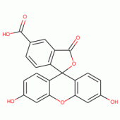 5-Carboxyfluorescein