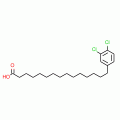 15-(3,4-Dichlorophenyl)pentadecanoic acid