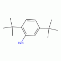 2，5-二-叔-丁基苯胺