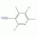 2,5-Dichloro-4,6-dimethylnicotinonitrile, 95%