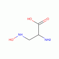 D,L-2-Amino-3-(hydroxyamino)propionic Acid