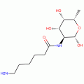 N-(ε-Aminocaproyl)-β-L-fucopyranosylamine