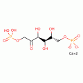D-FRUCTOSE 1,6-DIPHOSPHATE*MONOCALCIUM P RACTICAL GR