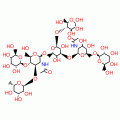 FUCOSYLLACTO-N-HEXAOSE III FROM*HUMAN MI LK