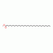 HENTRIACONTANOIC ACID METHYL ESTER
