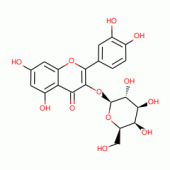 槲皮素-3-D-半乳糖苷