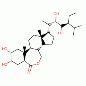 22(S),23(S)-HOMOBRASSINOLIDE