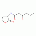 N-(Ketocaproyl)-L-homoserine Lactone