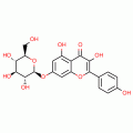 KAEMPFEROL-7-O-GLUCOSIDE(RG)