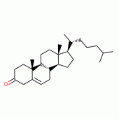 胆甾酮