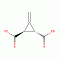 3-Methylenecyclopropane-trans-1,2-dicarboxylic acid, 98%