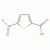 5-硝基硫代苯-2-甲酸