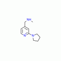 N-Methyl-N-[(2-pyrrolidin-1-ylpyridin-4-yl)methyl]amine , 95%