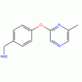 4-[(6-Methylpyrazin-2-yl)oxy]benzylamine, 97%