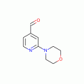 2-吗啉异烟酰醛