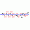MINI GASTRIN I HUMAN SYNTHETIC