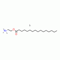 PALMITOYLCHOLINE IODIDE