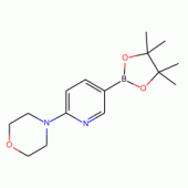 6-(1-Piperazinyl)pyridine-3-boronic acid pinacol ester, 97%