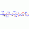 PROTEIN KINASE C FRAGMENT 19-36