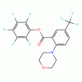 Pentafluorophenyl 2-morpholino-5-(trifluoromethyl)benzoate, 97%
