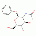 PHENYL N-ACETYL-B-D-GLUCOSAMINIDE