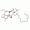 PHORBOL 12-MYRISTATE-13-ACETATE-4-O-METH YL ETHER